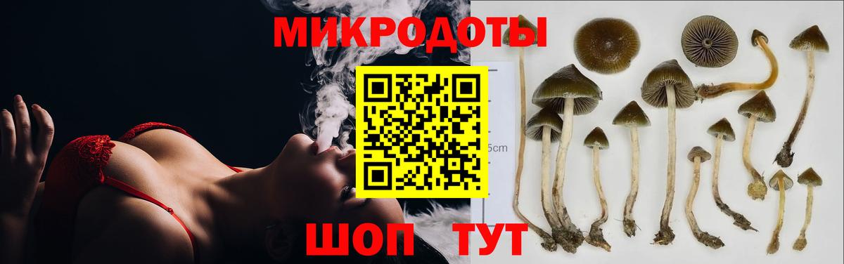 Псилоцибиновые грибы мухоморы  Вход с VPN  Топки 